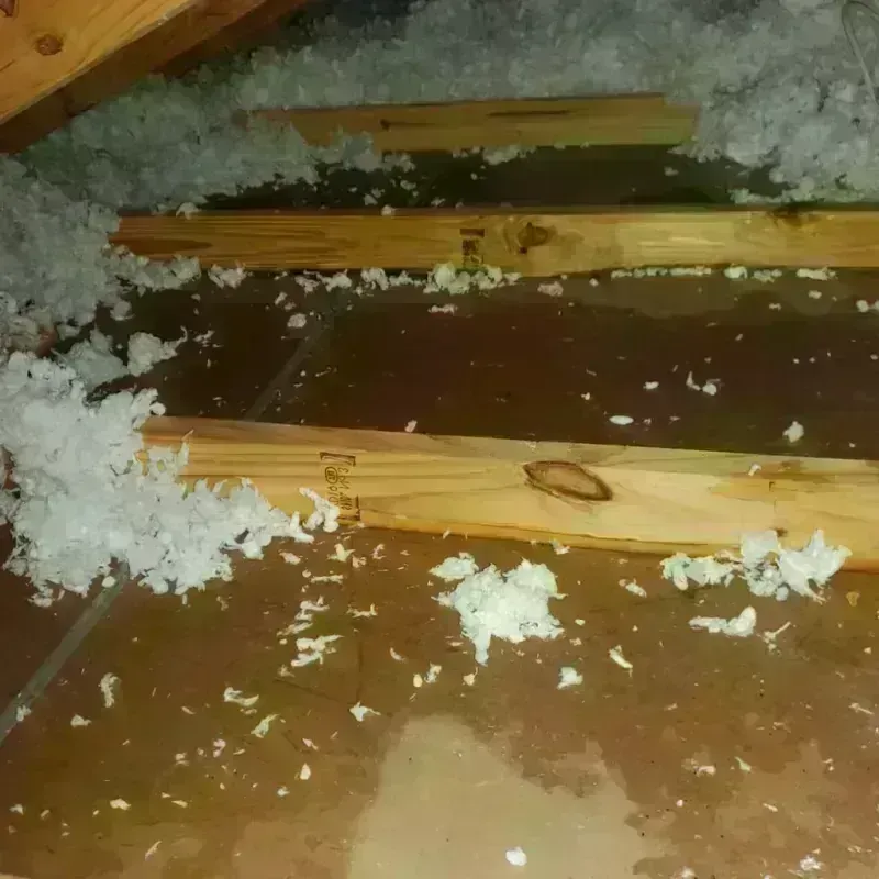 Attic Water Damage in Mobile, AL