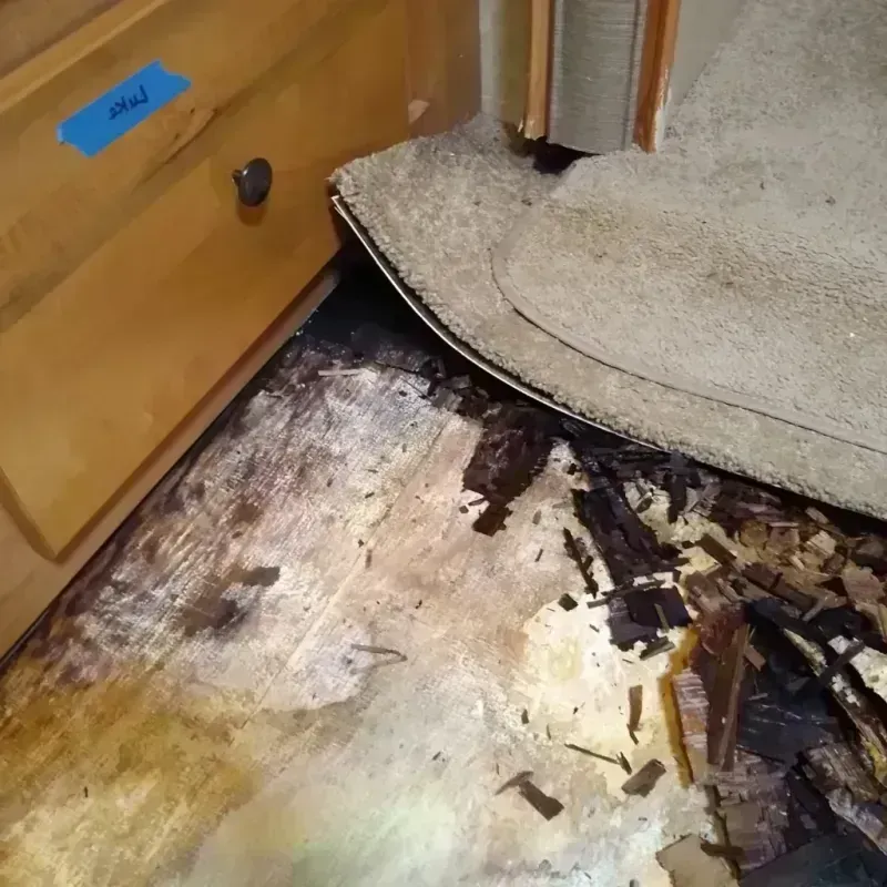 Wood Floor Water Damage in Mobile, AL